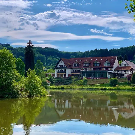 Hotel Seehotel Gut Dürnhof Rieneck