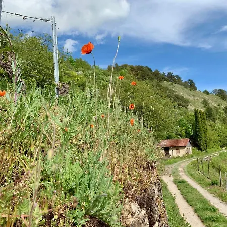 Cohousing Gut Duernhof 3* Rieneck