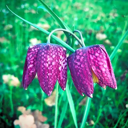 Cohousing Gut Duernhof Rieneck