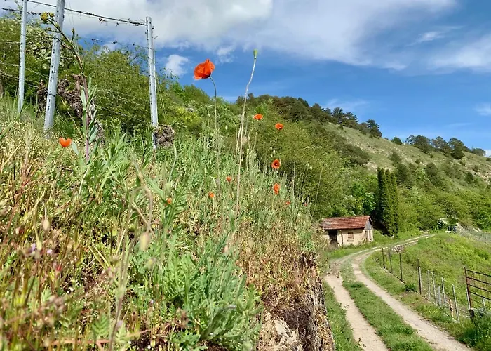 Cohousing Gut Duernhof 3* Rieneck